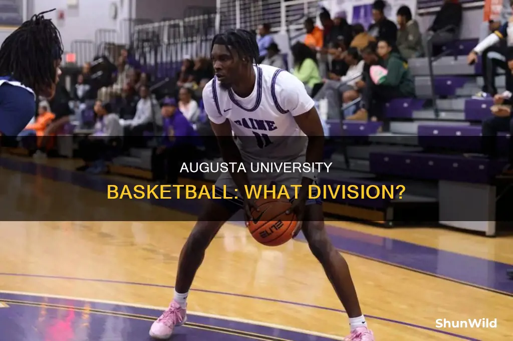 what division is augusta university basketball