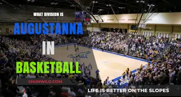 Augustana Basketball: What Division Do They Play In?