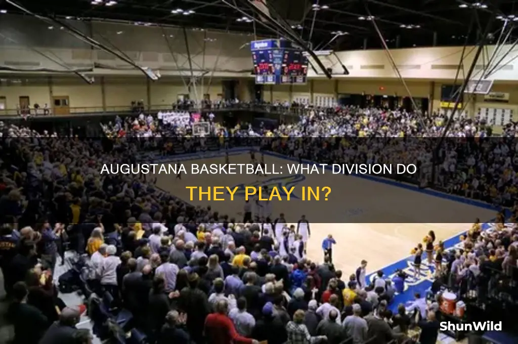 what division is augustanna in basketball
