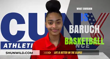 Baruch Basketball: What Division Do They Play In?