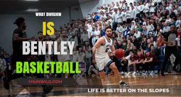 Bentley Basketball: What Division Do They Play In?