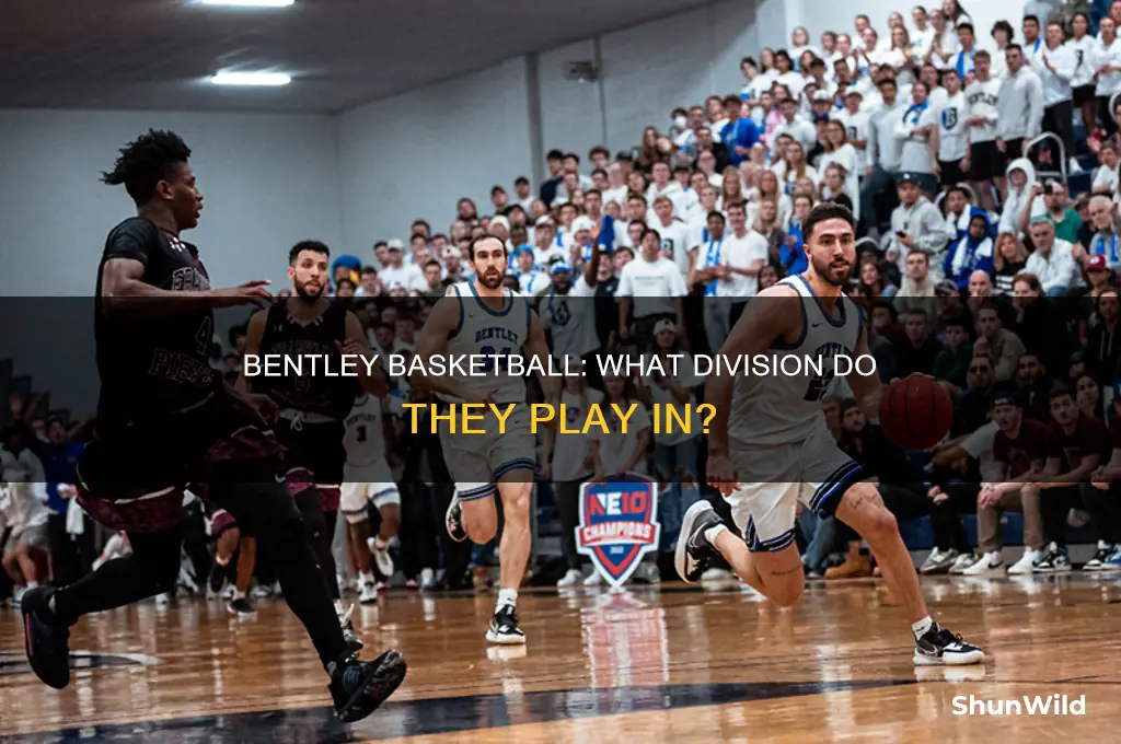 what division is bentley basketball