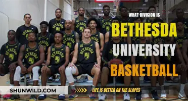 Bethesda University Basketball: A Division of Dreams