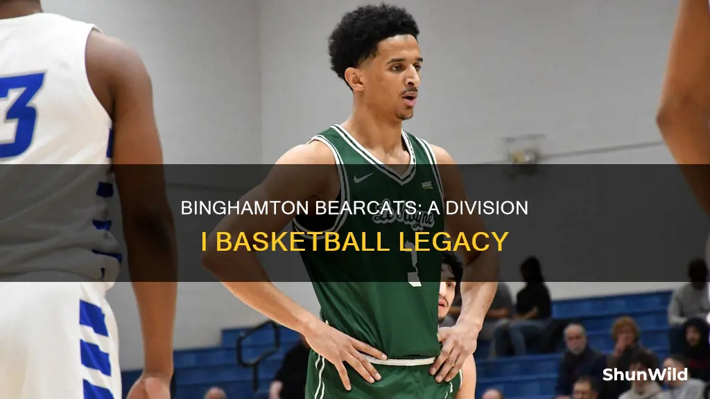what division is binghamton mens basketball