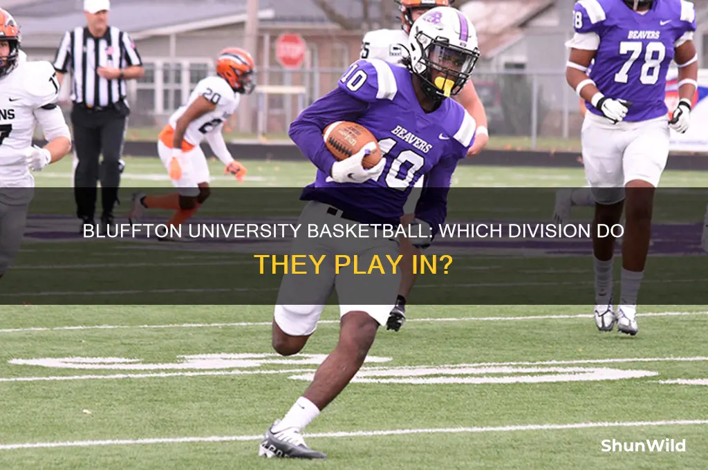 what division is bluffton university basketball