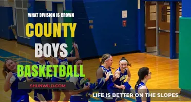 Brown County Boys Basketball: A Division of Champions