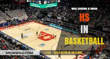 Brush High School Basketball: What Division?
