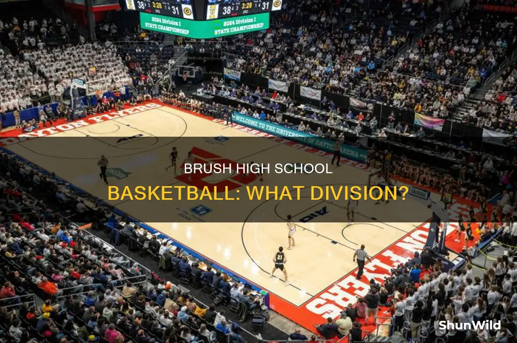 what division is brush hs in basketball