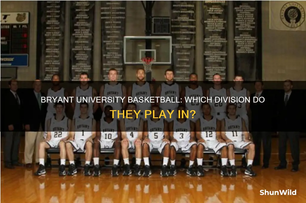 what division is bryant university basketball