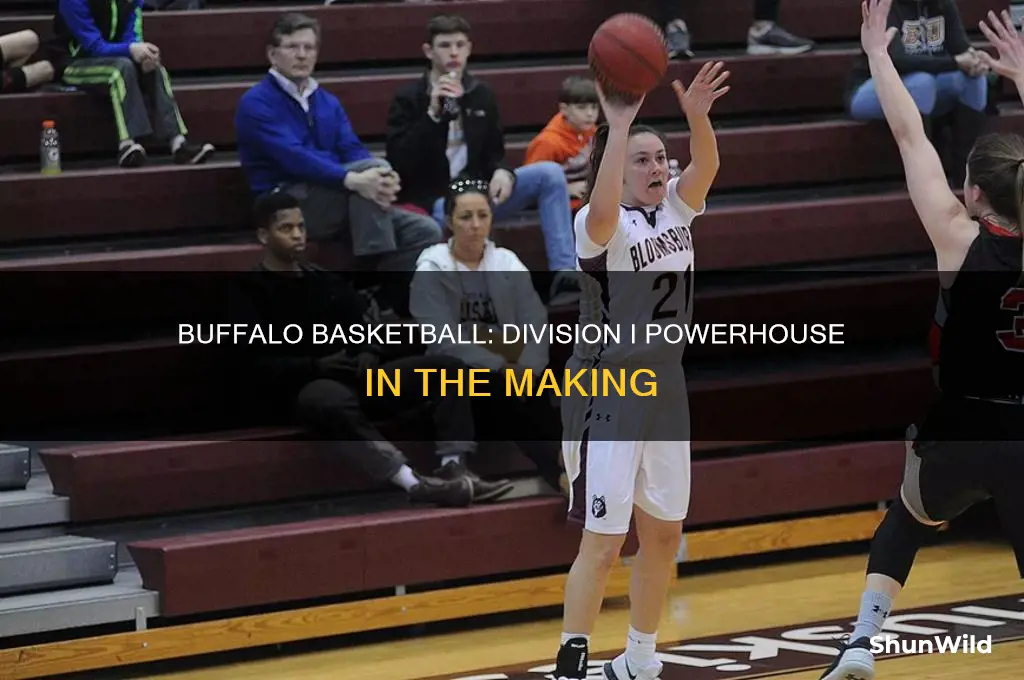 what division is buffalo university basketball
