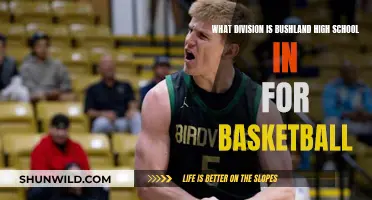 Basketball Divisions: Bushland High School's Basketball League