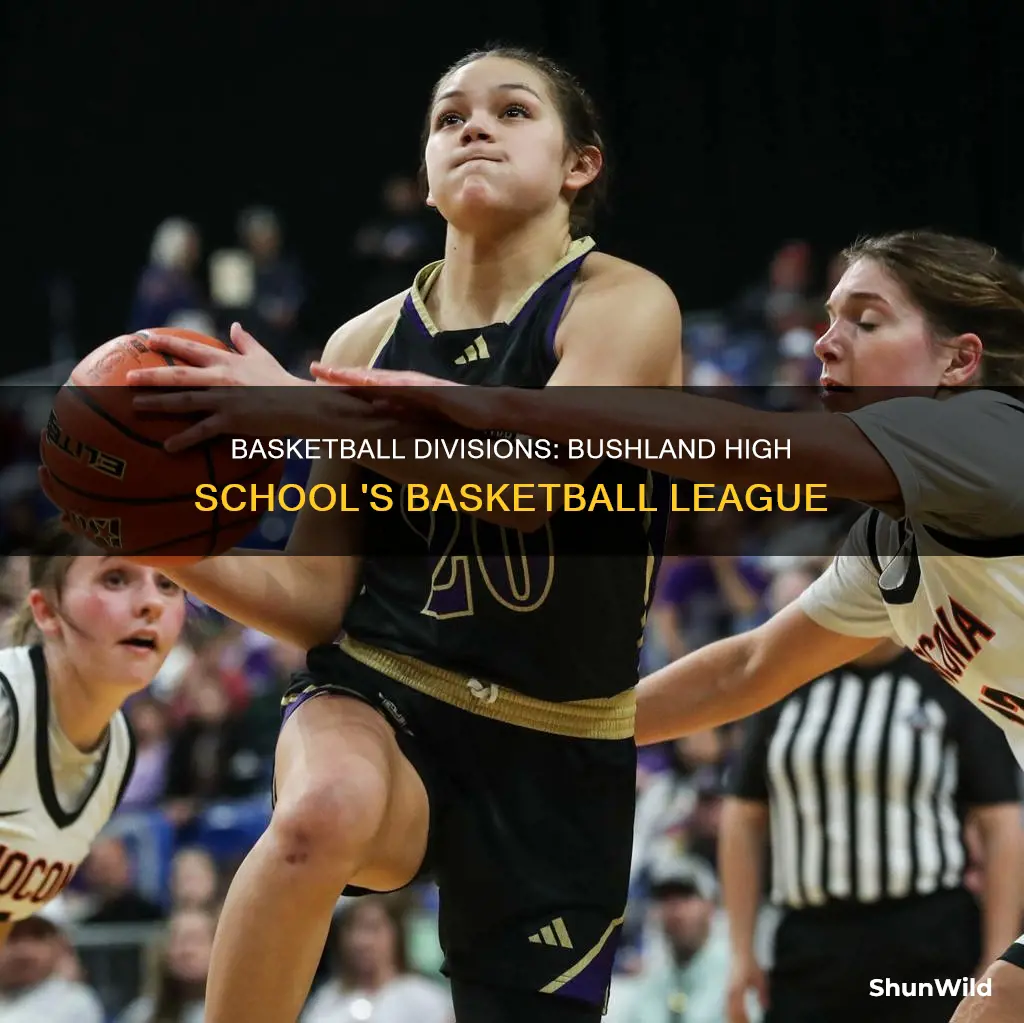 what division is bushland high school in for basketball