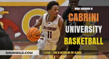 Cabrini University Basketball: Which Division Reigns Supreme?