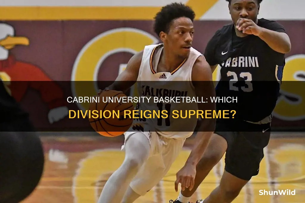 what division is cabrini university basketball