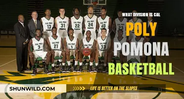 Cal Poly Pomona Basketball: A Division II Powerhouse