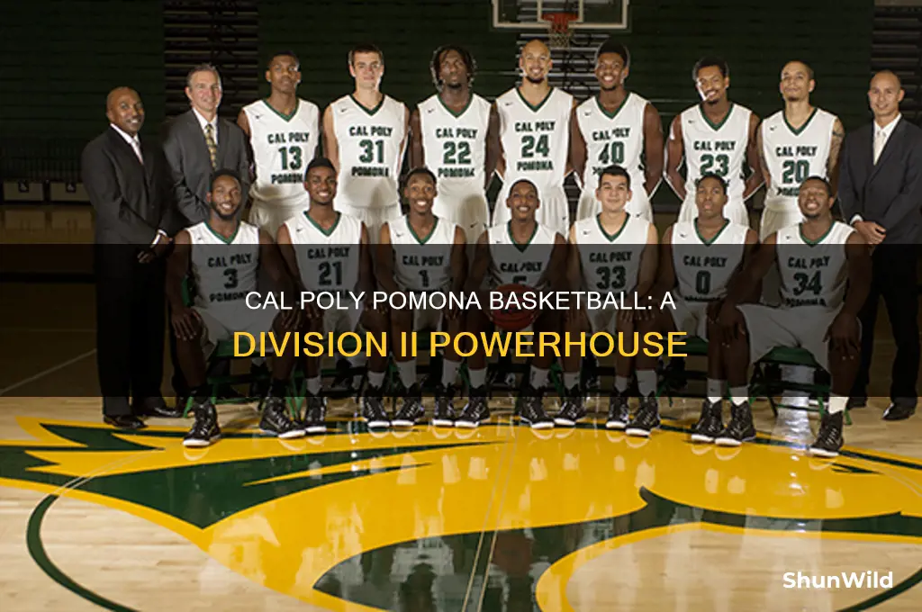 what division is cal poly pomona basketball