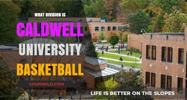 Caldwell University Basketball: What Division Do They Play In?