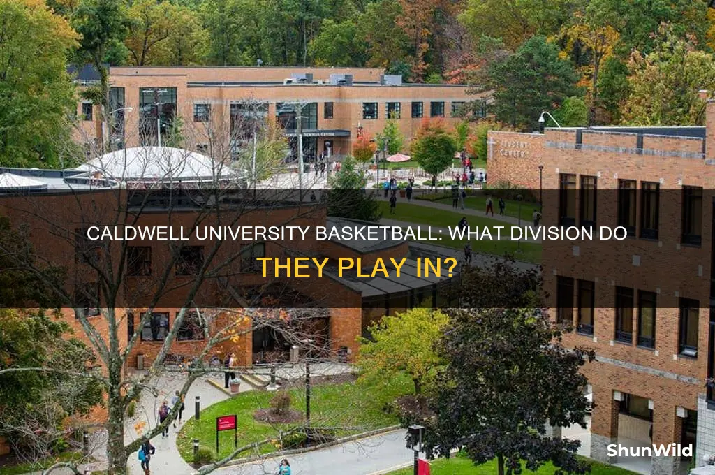 what division is caldwell university basketball
