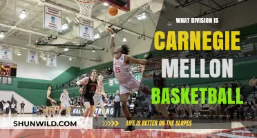 Carnegie Mellon Basketball: A Division III Powerhouse