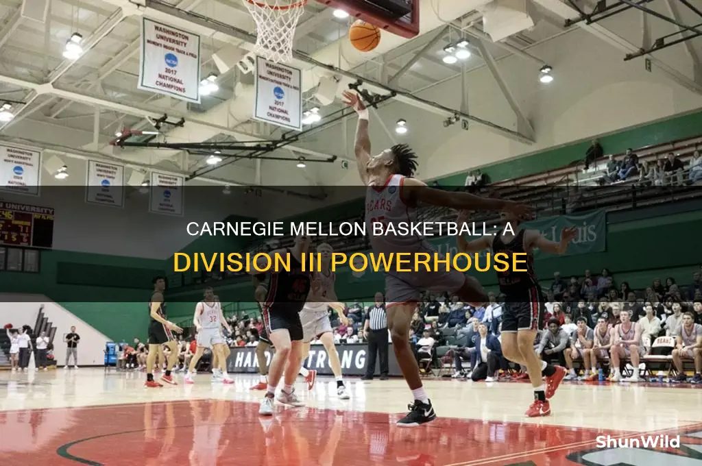 what division is carnegie mellon basketball