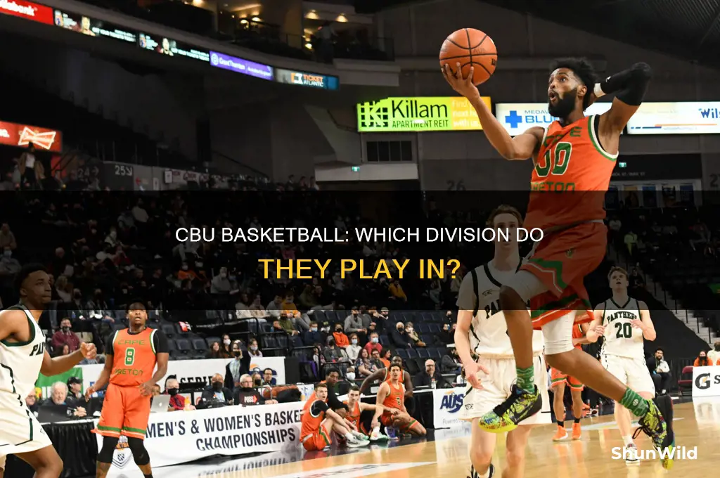 what division is cbu basketball