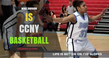 CCNY Basketball: A Division III Powerhouse