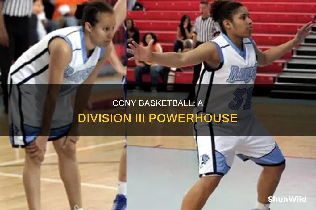 what division is ccny basketball