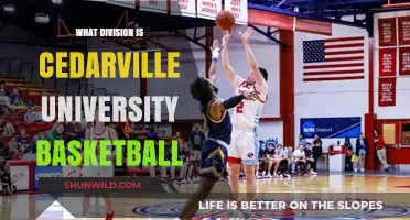 Cedarville University Basketball: A Division II Powerhouse