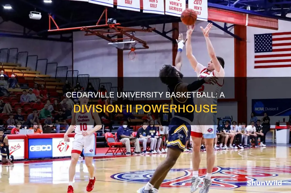 what division is cedarville university basketball