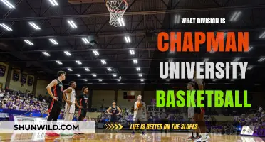 Chapman University Basketball: Which Division Do They Play In?