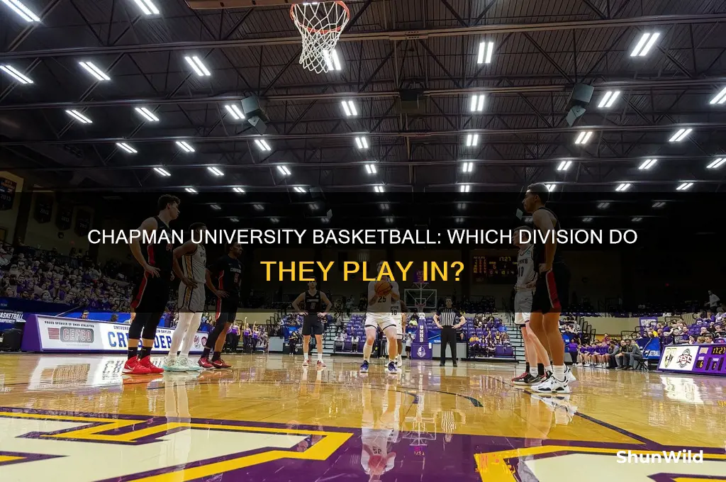 what division is chapman university basketball