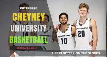 Cheyney University Basketball: What Division Do They Play In?