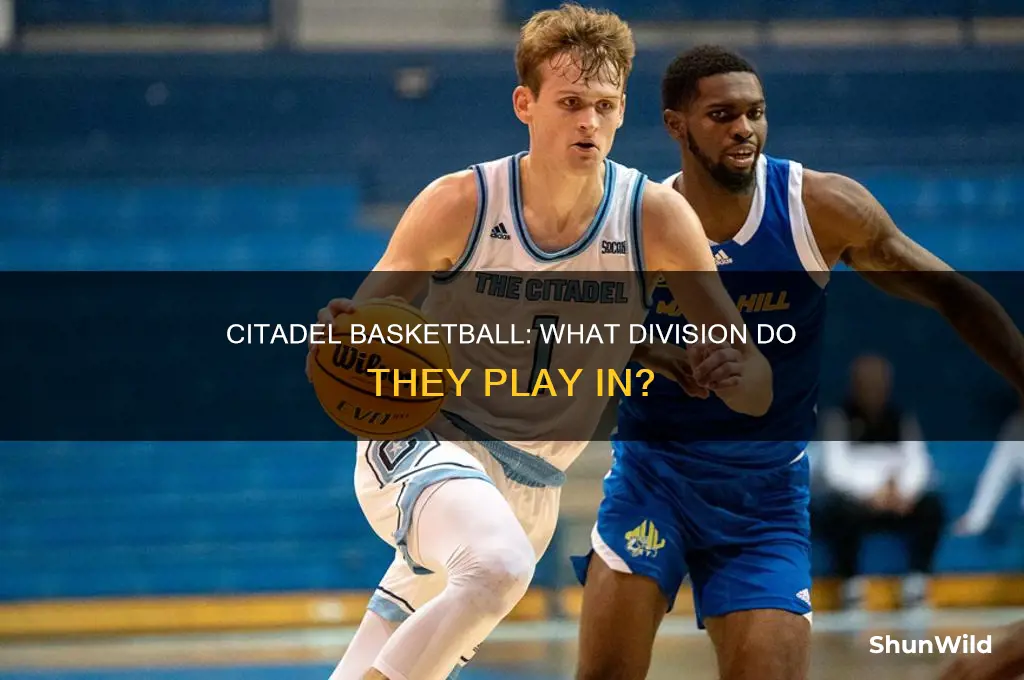 what division is citadel basketball