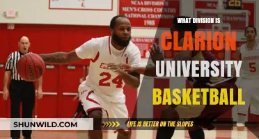 Clarion University Basketball: Division II Contenders