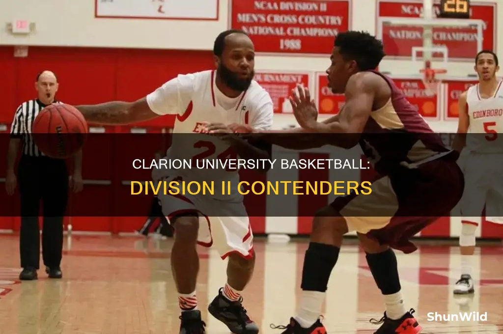 what division is clarion university basketball