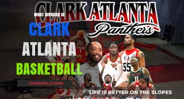 Clark Atlanta Basketball: A Division II Powerhouse