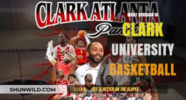 Clark University Basketball: Which Division Do They Play In?
