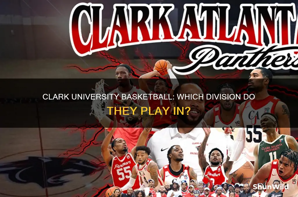what division is clark university basketball