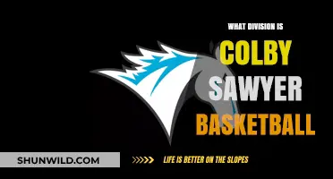 Colby-Sawyer Basketball: A Division III Powerhouse