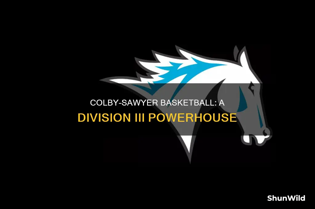 what division is colby sawyer basketball