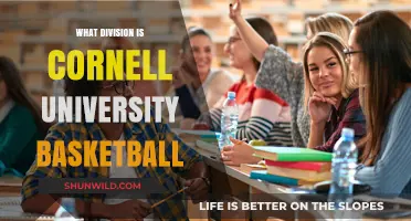 Cornell University Basketball: What Division Do They Play In?