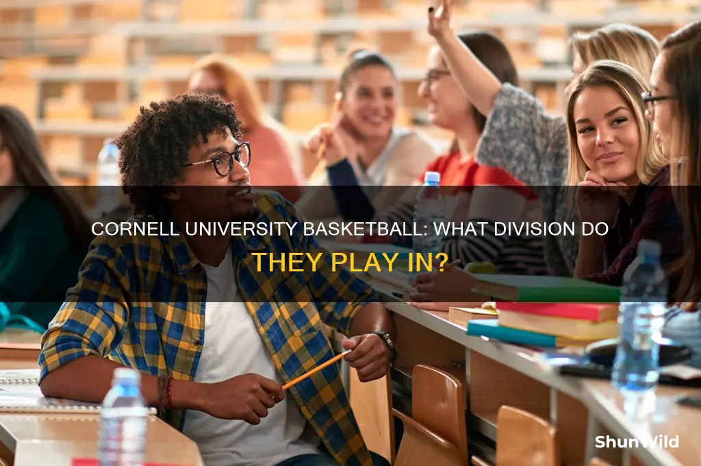 what division is cornell university basketball