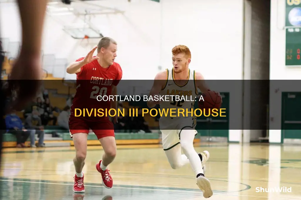 what division is cortland basketball