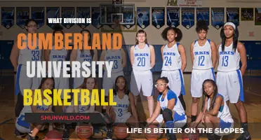 Cumberland University Basketball: A Division II Powerhouse