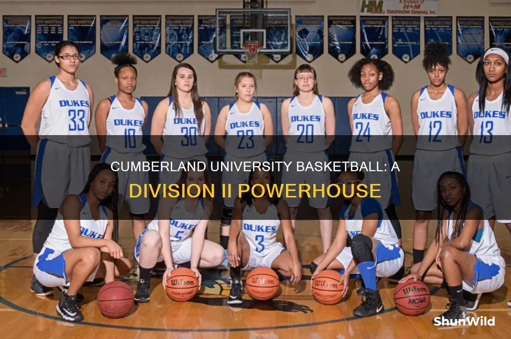 what division is cumberland university basketball