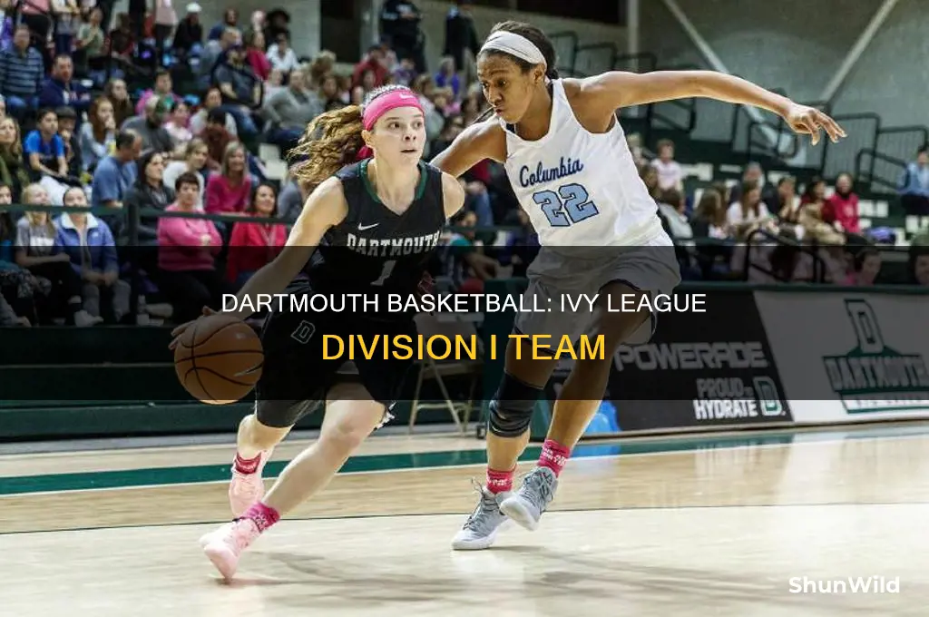 what division is dartmouth basketball