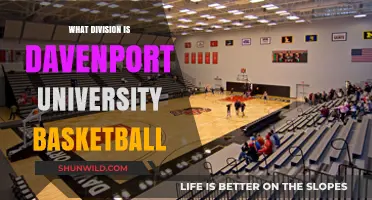 Davenport University Basketball: Which Division?