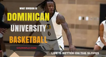 Dominican University Basketball: What Division?