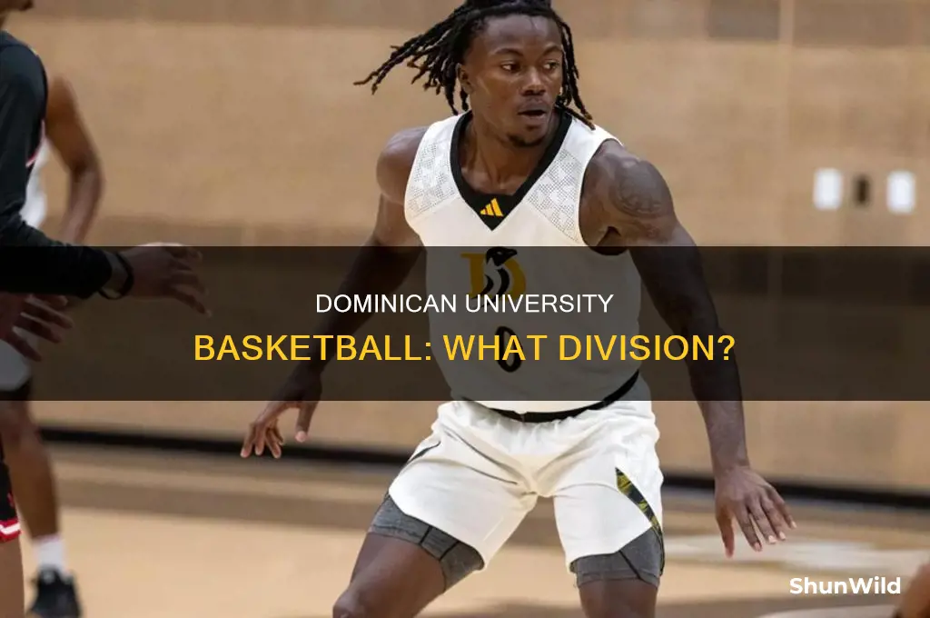 what division is dominican university basketball