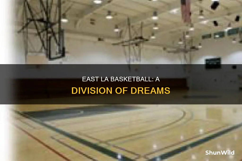 what division is east la basketball